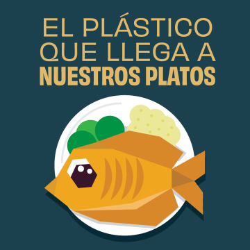 1429_Plastico_comida2